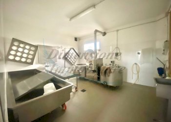 5823684089981111343.jpg - Casale Strada Comunale Sant'Ippolito, Pomarance - foto 28