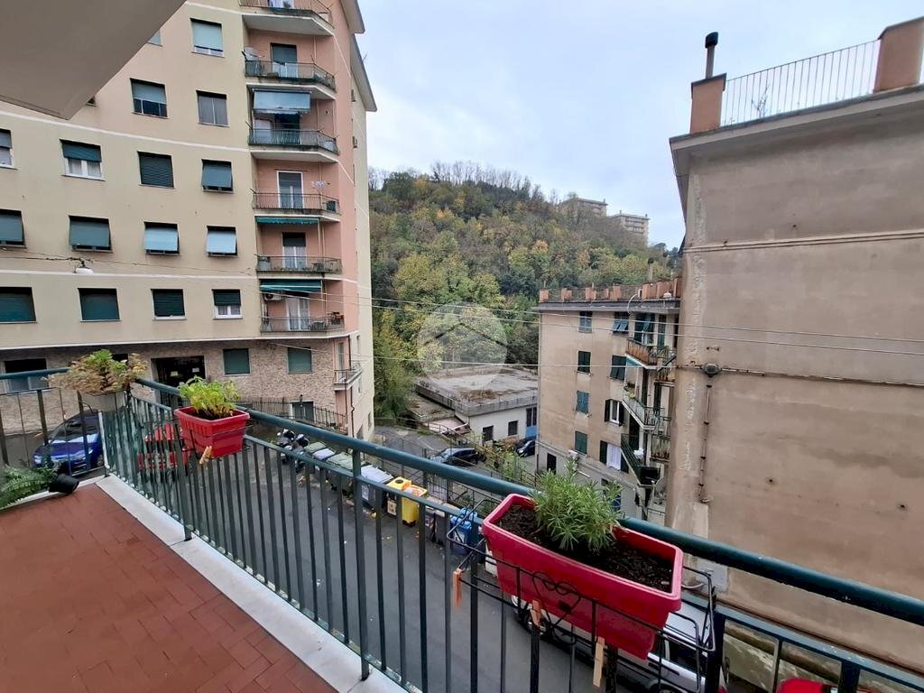 Four-room apartment Via Sergio Piombelli, Genova (neighborhood Certosa) - photo 2