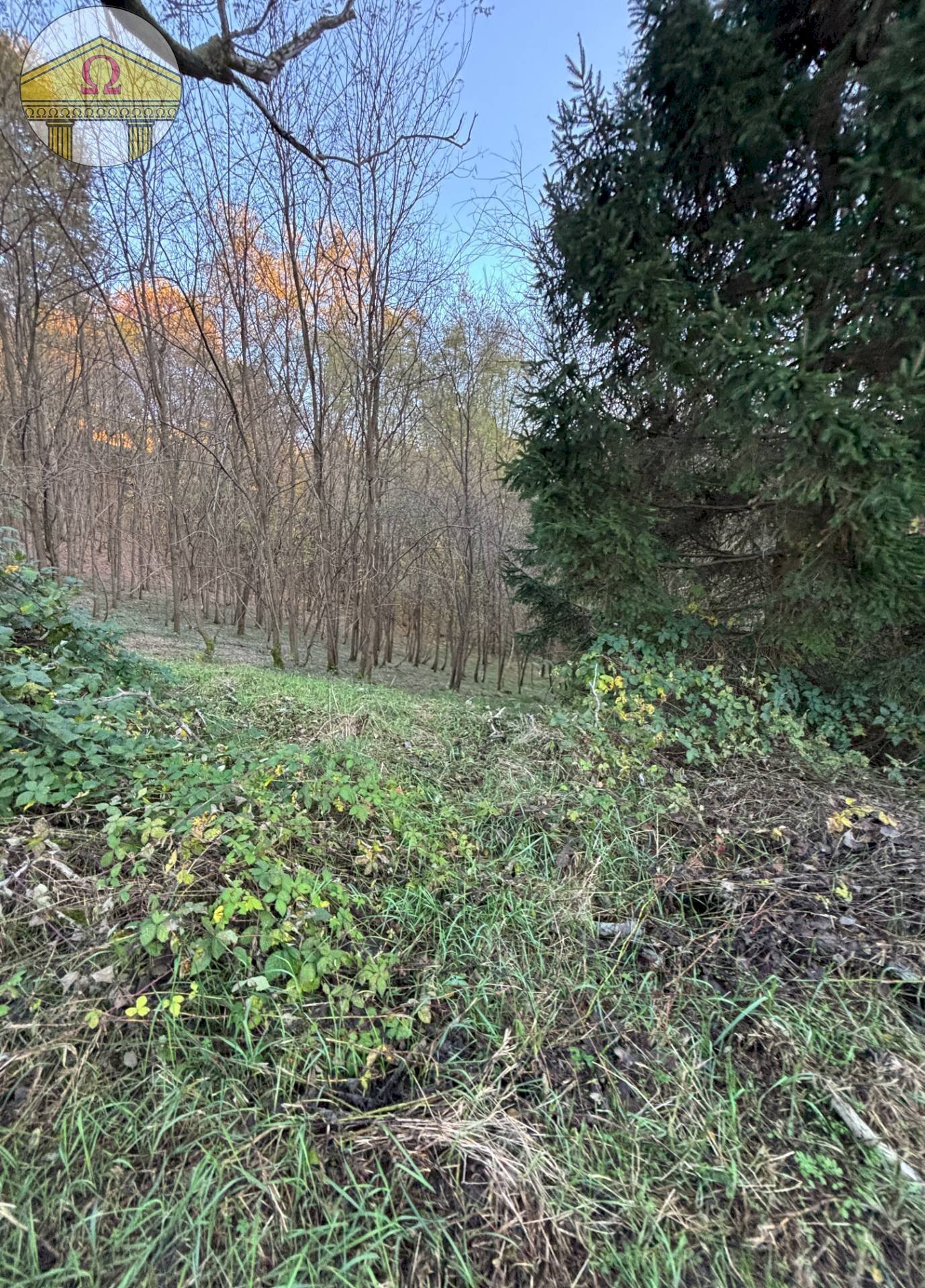 Foto 2 - Rustic Volpago del Montello - photo 2