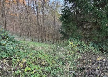 Foto 2 - Rustico Volpago del Montello - foto 2