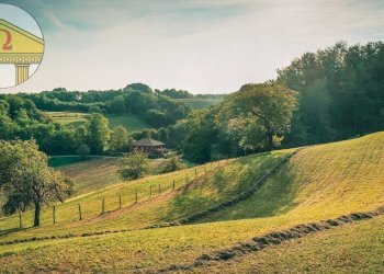 Foto 1 - Terreno edificabile Giavera del Montello - foto 1