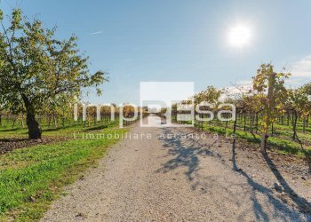 Foto 16 - Rustic via tempio, Fontanelle - photo 16