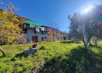 Foto 12 - Casa semi indipendente Carpineto Romano - foto 12