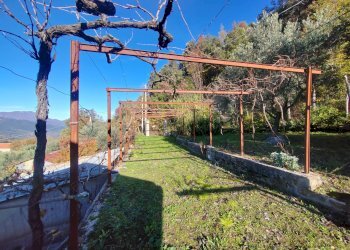 Foto 14 - Casa semi indipendente Carpineto Romano - foto 14