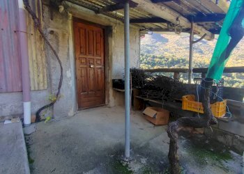 Foto 25 - Casa semi indipendente Carpineto Romano - foto 25