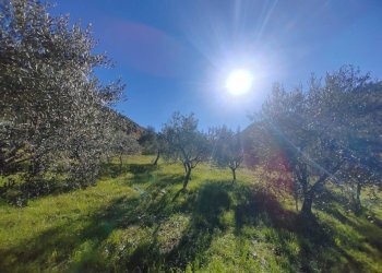 Foto 28 - Casa semi indipendente Carpineto Romano - foto 28