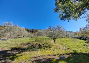 Foto 30 - Casa semi indipendente Carpineto Romano - foto 30