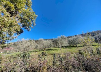 Foto 32 - Casa semi indipendente Carpineto Romano - foto 32