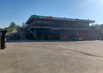 Foto 17 - Commercial Premises viale Fabrateria Vetus, Ceccano - photo 17