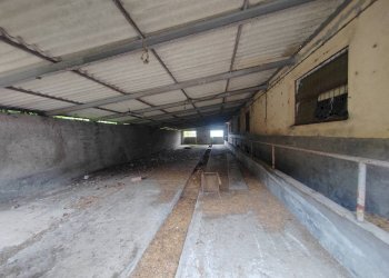 Foto 8 - Magazzino via Colonne, San Giovanni Incarico - foto 8