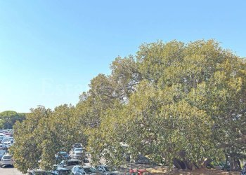 Foto 10 - Trilocale Bordighera, Bordighera - foto 10