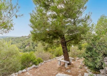 Foto 27 - Villa VIALE DEI CESPUGLI
 
34 A, Fasano - foto 27