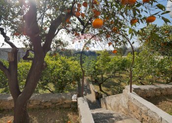 Giardino - Rustico Via Casino della Principessa
 
10, Giovinazzo - foto 25