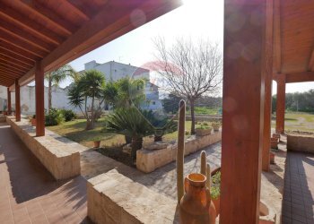 Terrazza - Rustico Via Casino della Principessa
 
10, Giovinazzo - foto 27