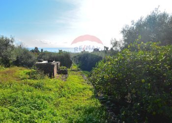 Giardino - Terreno edificabile Via Nazionale Guardia
272, Acireale - foto 7