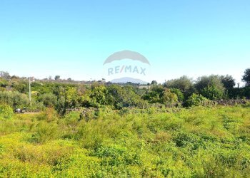 Giardino - Terreno edificabile Via Nazionale Guardia
272, Acireale - foto 18