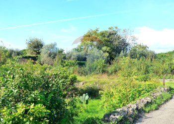 Giardino - Terreno edificabile Via Nazionale Guardia
272, Acireale - foto 21