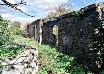 Giardino - Terreno edificabile Via della Rinascita
19, Acireale - foto 4
