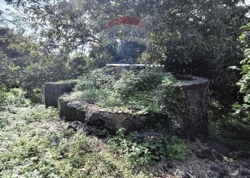 Giardino - Terreno edificabile Via della Rinascita
19, Acireale - foto 15