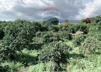 Giardino - Terreno edificabile Via della Rinascita
19, Acireale - foto 10