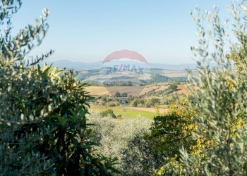 Vista delle montagne - Appartamento Rapolano Terme - foto 12
