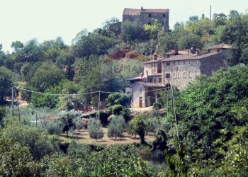 Giardino - Casa semi indipendente LOCALITA' PONINA CASA GIORGIO
 
207, Capolona - foto 16