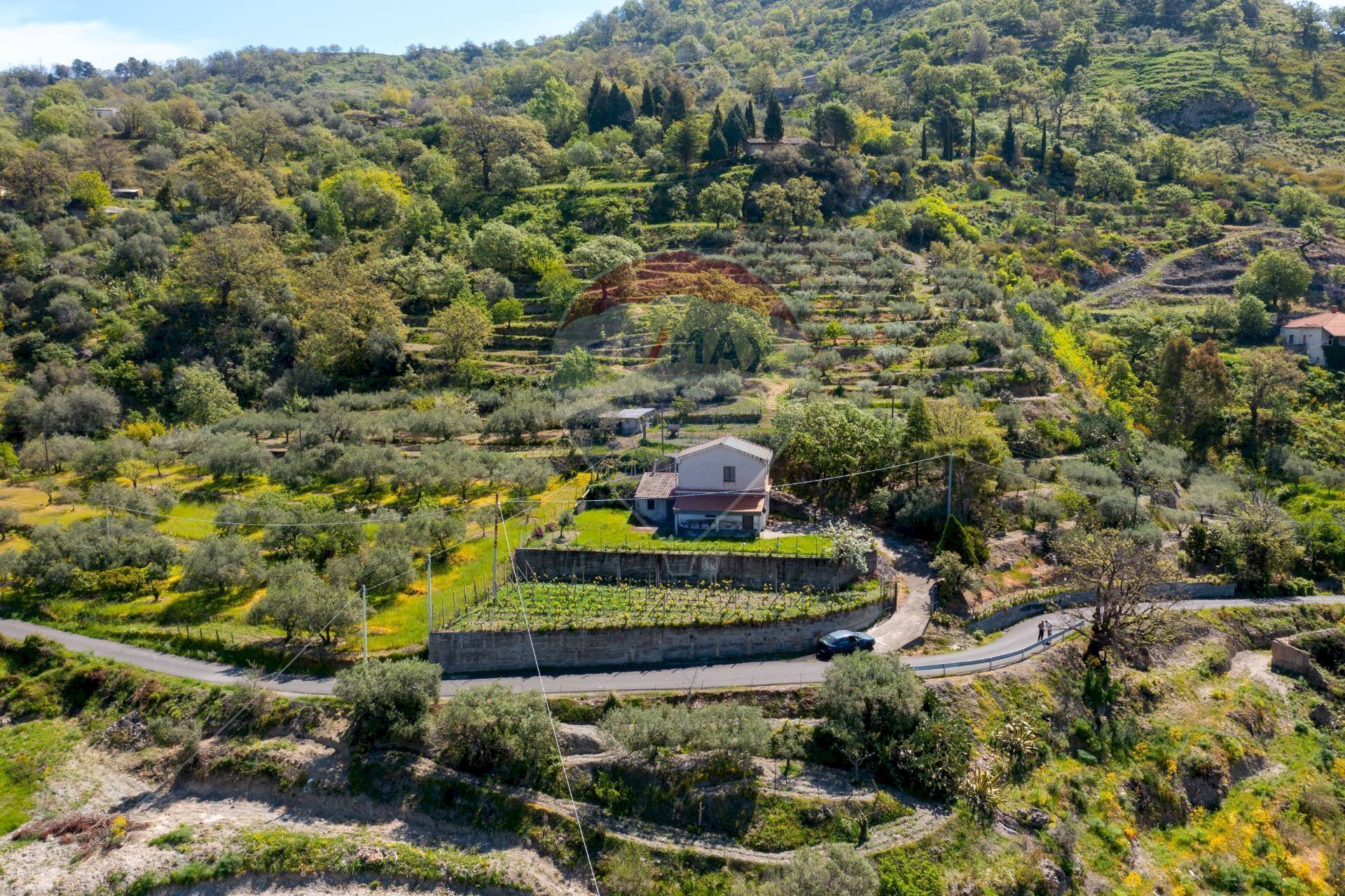 Vista delle montagne - Terreno agricolo contrada acqualorto, Castelmola - foto 3