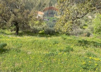 Vista delle montagne - Terreno agricolo contrada acqualorto, Castelmola - foto 18