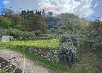 Vista delle montagne - Terreno agricolo contrada acqualorto, Castelmola - foto 38
