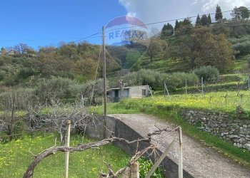 Vista delle montagne - Terreno agricolo contrada acqualorto, Castelmola - foto 39