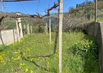 Giardino - Terreno agricolo contrada acqualorto, Castelmola - foto 43
