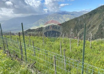 Vista delle montagne - Terreno agricolo contrada acqualorto, Castelmola - foto 44