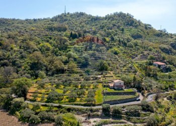 Vista delle montagne - Terreno agricolo contrada acqualorto, Castelmola - foto 52