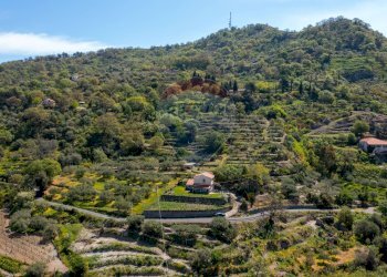 Vista delle montagne - Terreno agricolo contrada acqualorto, Castelmola - foto 53