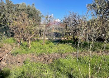 Giardino - Casa indipendente Strada Statale 114 Orientale Sicula
 
159, Aci Castello - foto 38