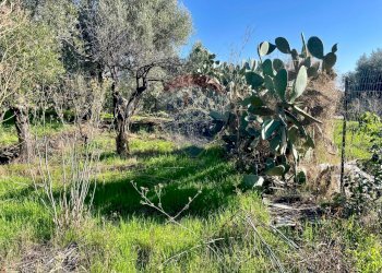 Giardino - Casa indipendente Strada Statale 114 Orientale Sicula
 
159, Aci Castello - foto 40