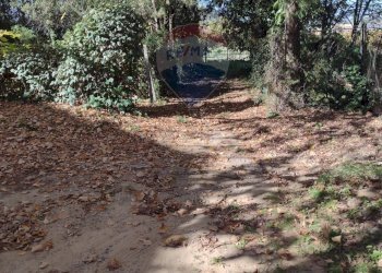 Giardino - Independent house Via Elio Vittorini
 
10, Piazza Armerina - photo 21