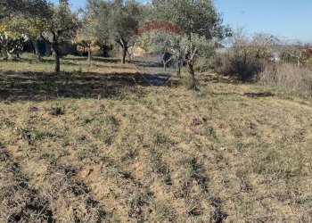 Giardino - Independent house Via Elio Vittorini
 
10, Piazza Armerina - photo 23