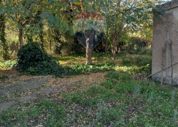 Giardino - Independent house Via Elio Vittorini
 
10, Piazza Armerina - photo 26