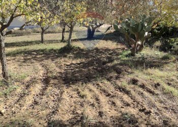 Giardino - Independent house Via Elio Vittorini
 
10, Piazza Armerina - photo 27