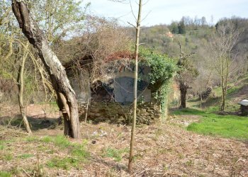 Giardino - Rustic località Sant'Antonio, Altare - photo 29