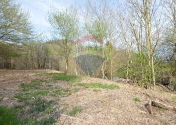 Giardino - Rustic località Sant'Antonio, Altare - photo 34