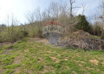 Giardino - Rustic località Sant'Antonio, Altare - photo 42