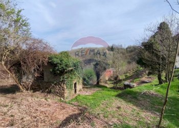 Giardino - Rustic località Sant'Antonio, Altare - photo 69