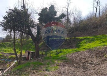 Giardino - Rustic località Sant'Antonio, Altare - photo 70