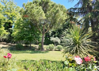 Giardino - Villa Ancona - foto 4