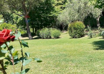 Giardino - Villa Ancona - foto 5