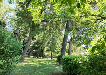 Giardino - Villa Ancona - foto 68