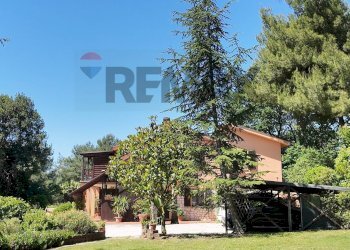 Giardino - Villa Ancona - foto 73