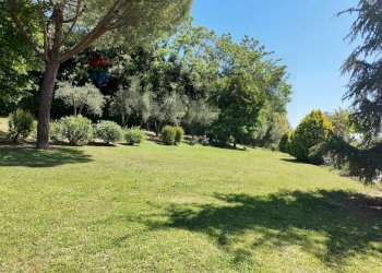 Giardino - Villa Ancona - foto 76